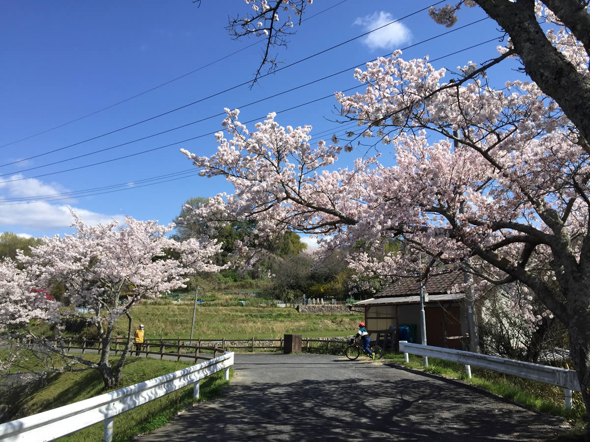 日隈自然公園